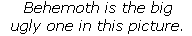 Link to image